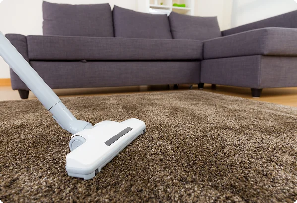 Professional Carpet Cleaning With Vacuum